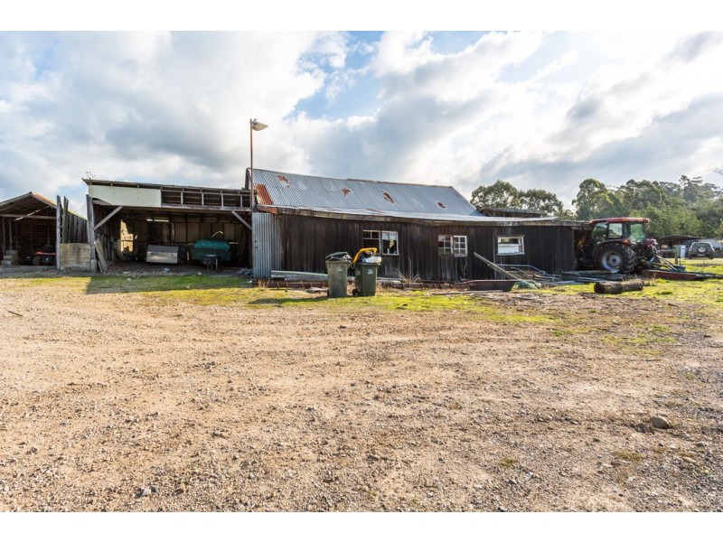 169 Stewarts Road, Winkleigh TAS 7275