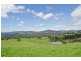 488 Nettlefolds Road, Holwell TAS 7275