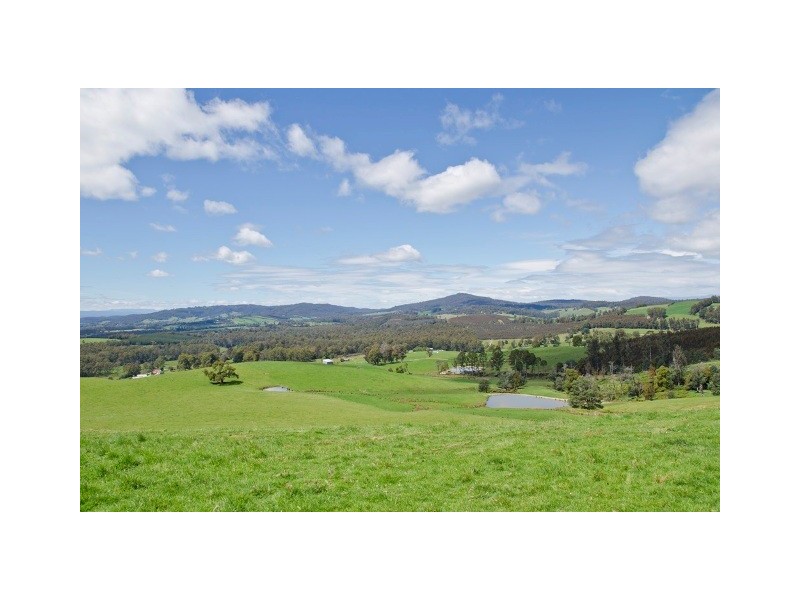 488 Nettlefolds Road, Holwell TAS 7275