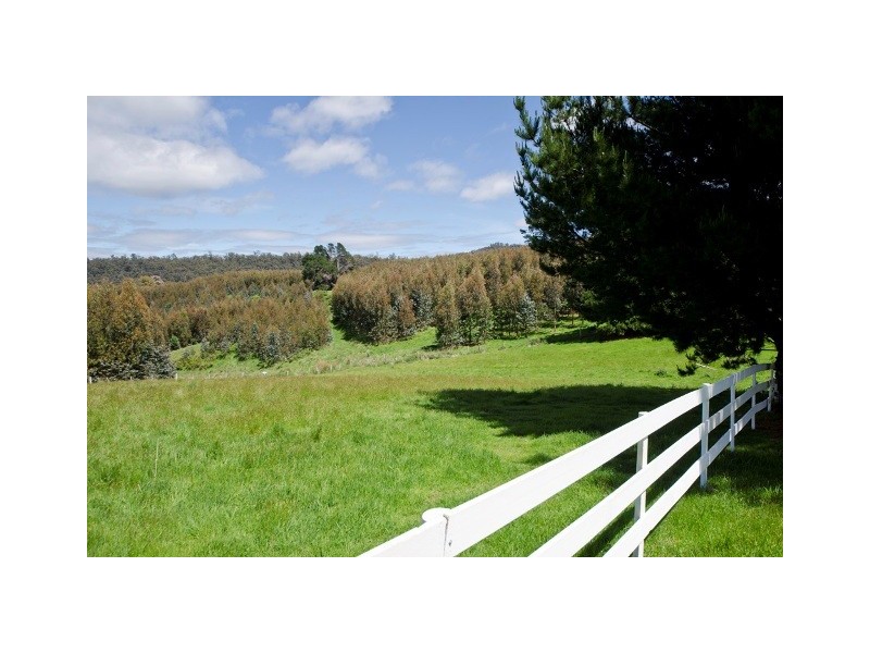 488 Nettlefolds Road, Holwell TAS 7275