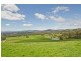 488 Nettlefolds Road, Holwell TAS 7275