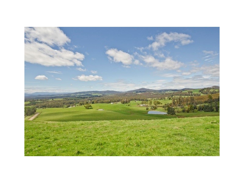 488 Nettlefolds Road, Holwell TAS 7275