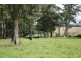 Lot 1 Greens Beach Road, York Town TAS 7270