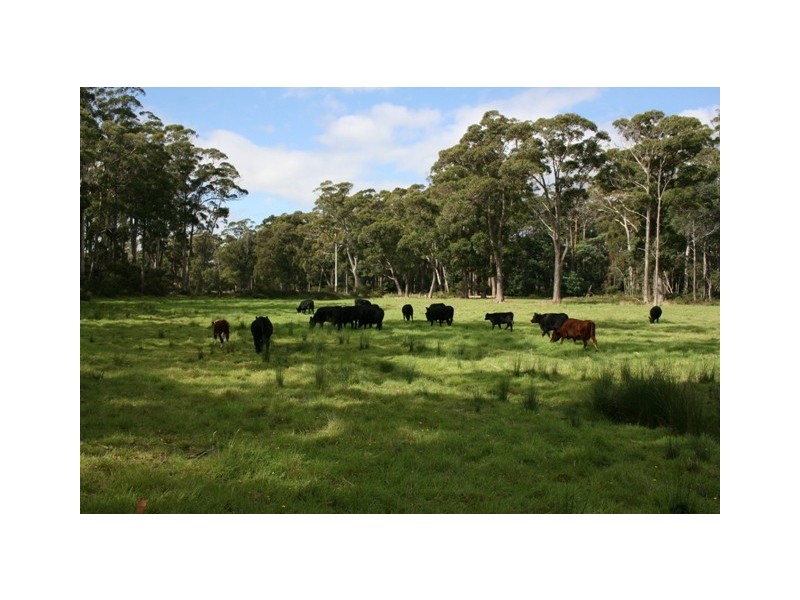 Lot 1 Greens Beach Road, York Town TAS 7270