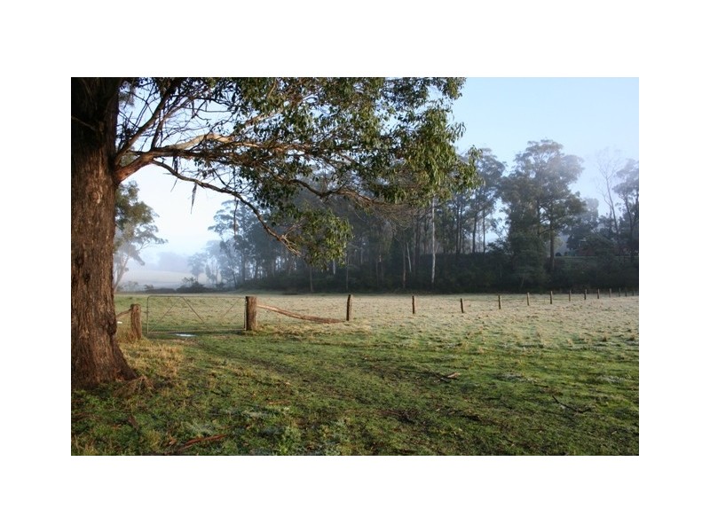 Lot 1 Greens Beach Road, York Town TAS 7270