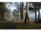 Lot 1 Greens Beach Road, York Town TAS 7270