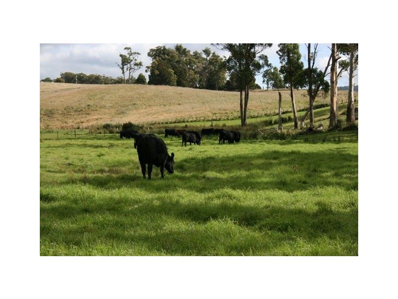 Lot 1 Greens Beach Road, York Town TAS 7270