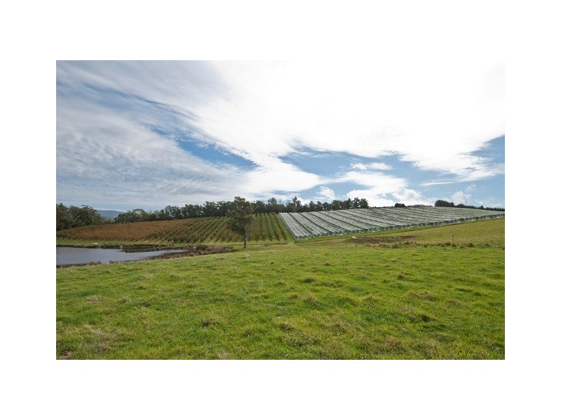 369 Greens Beach Road, Beaconsfield TAS 7270