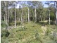 225 Salisbury Hill Road, Flowery Gully TAS 7270