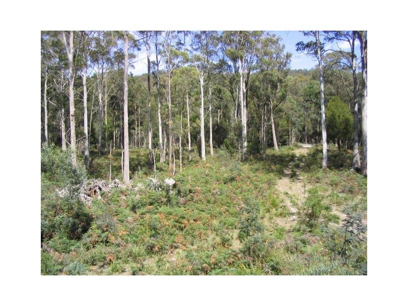 225 Salisbury Hill Road, Flowery Gully TAS 7270