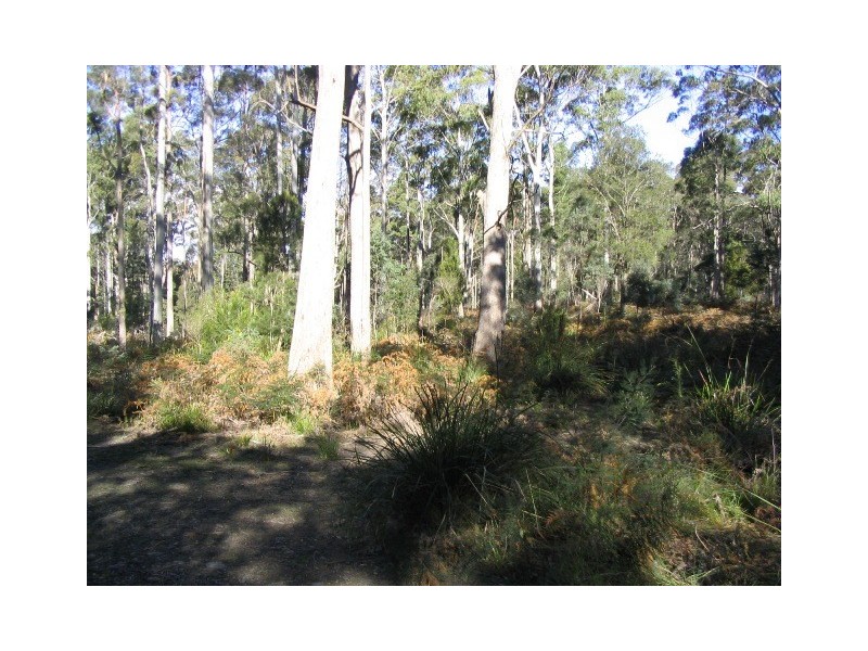225 Salisbury Hill Road, Flowery Gully TAS 7270
