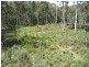225 Salisbury Hill Road, Flowery Gully TAS 7270