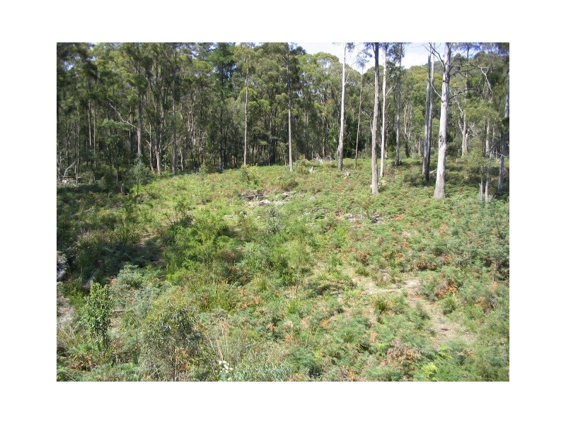 225 Salisbury Hill Road, Flowery Gully TAS 7270