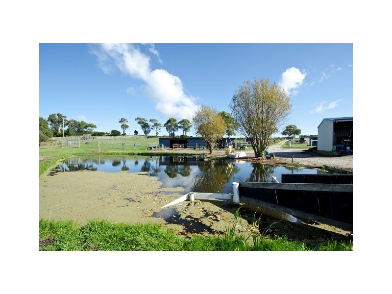 1530 Bridport Road, Bridport TAS 7262