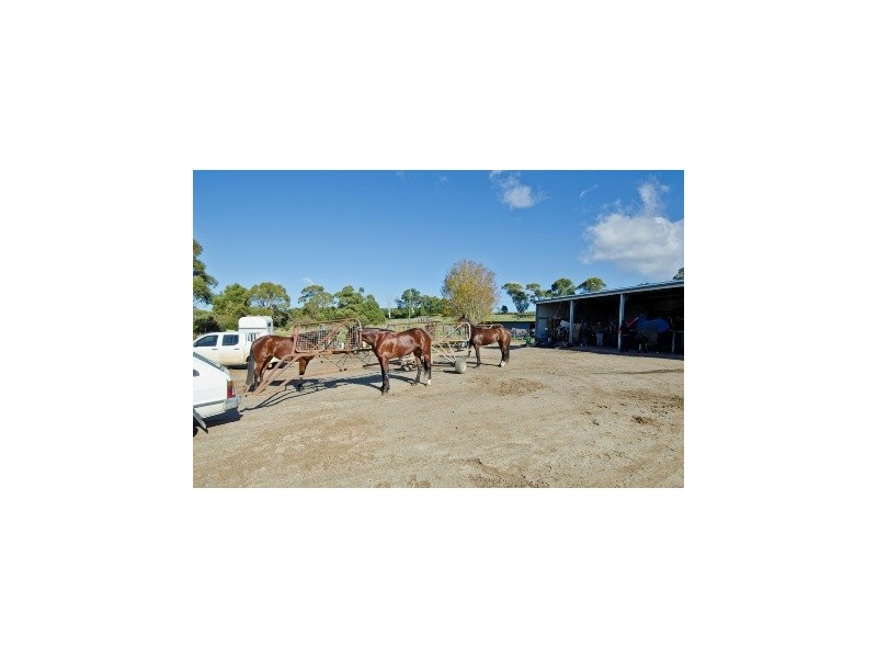 1530 Bridport Road, Bridport TAS 7262