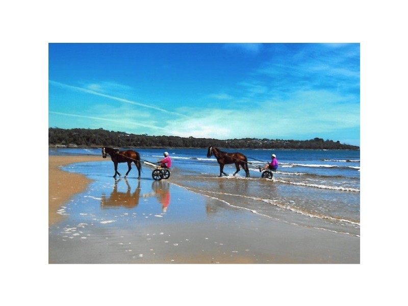 1530 Bridport Road, Bridport TAS 7262