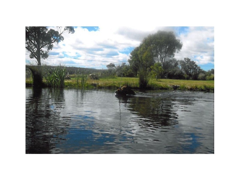 1530 Bridport Road, Bridport TAS 7262