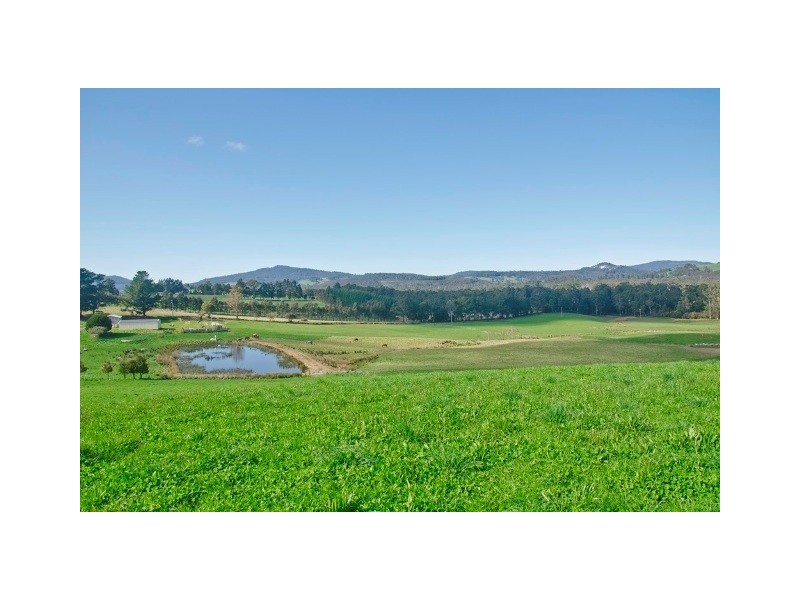 130 South Winkliegh Road, Winkleigh TAS 7275