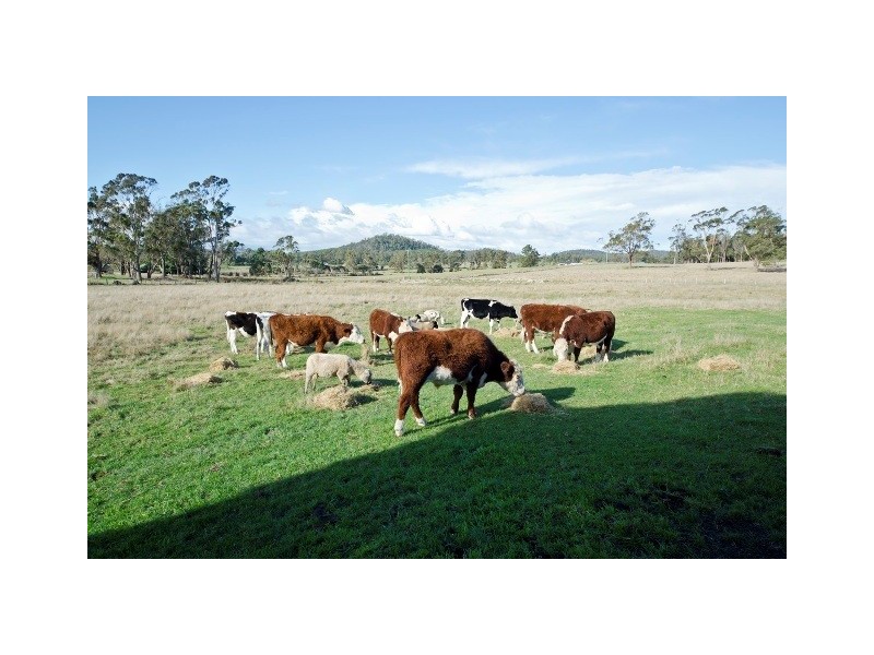 365 Frankford Highway, Exeter TAS 7275