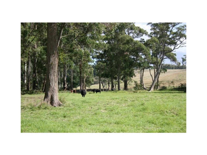 Lot 1 Greens Beach Road, York Town TAS 7270