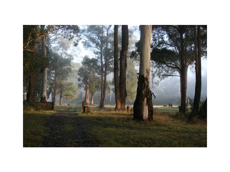 Lot 1 Greens Beach Road, York Town TAS 7270