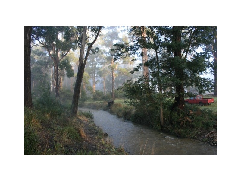 Lot 1 Greens Beach Road, York Town TAS 7270