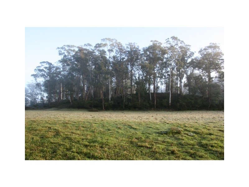 Lot 1 Greens Beach Road, York Town TAS 7270