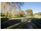 1 Panorama Road, Blackstone Heights TAS 7250