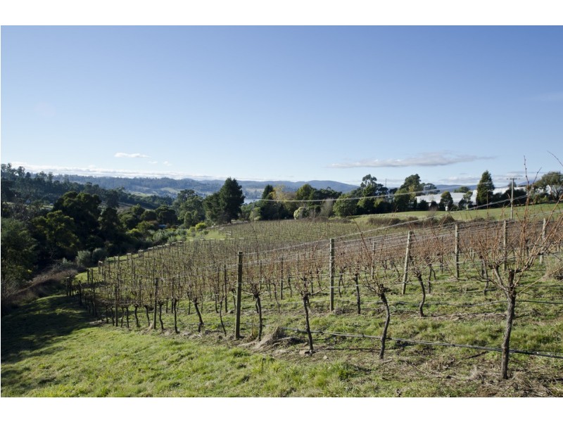 9 Craythorne Road, Rosevears TAS 7277