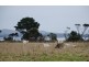 948 Windermere Road, Swan Bay TAS 7252