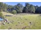 75 Coppermine Road, Frankford TAS 7275