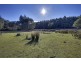 75 Coppermine Road, Frankford TAS 7275