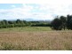 448 Pateena Road, Longford TAS 7301