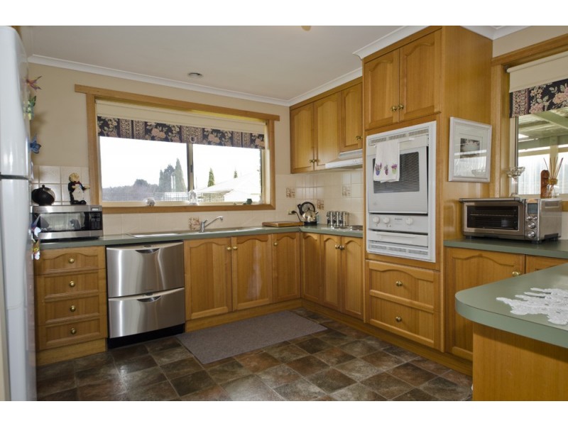 20 Mulgrave Street, Perth TAS 7300