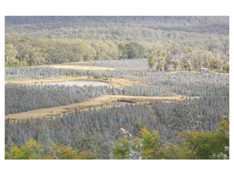 240 Tattersalls Road, Beaconsfield TAS 7270