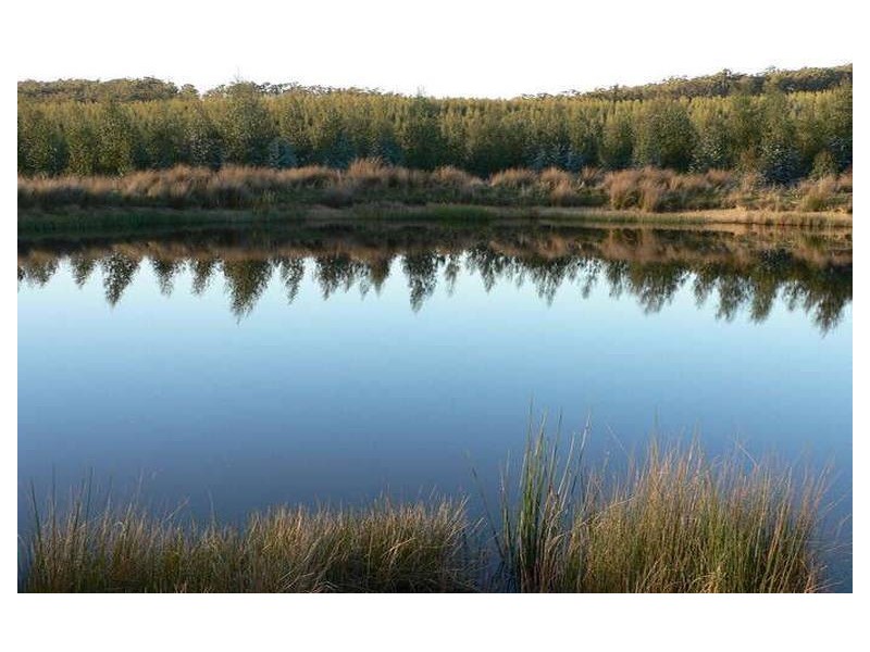 240 Tattersalls Road, Beaconsfield TAS 7270