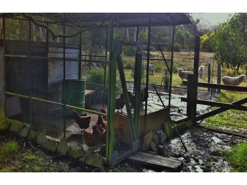 9 Old Bangor Tram Road, Mount Direction TAS 7252