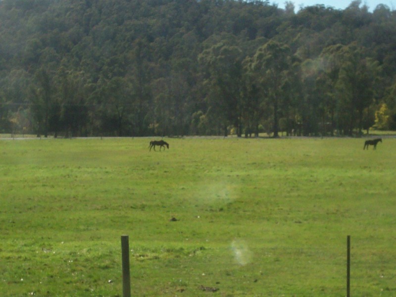 350 Long Plains Road, Bridgenorth TAS 7277