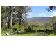 258 Hop Valley Road, Blackwood Creek TAS 7301