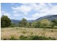 258 Hop Valley Road, Blackwood Creek TAS 7301