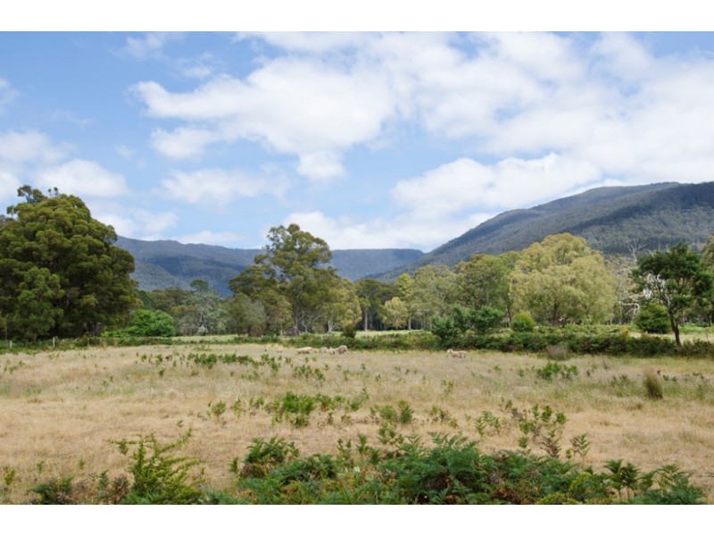 258 Hop Valley Road, Blackwood Creek TAS 7301