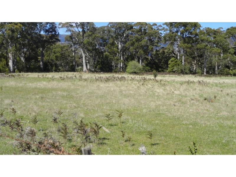 258 Hop Valley Road, Blackwood Creek TAS 7301