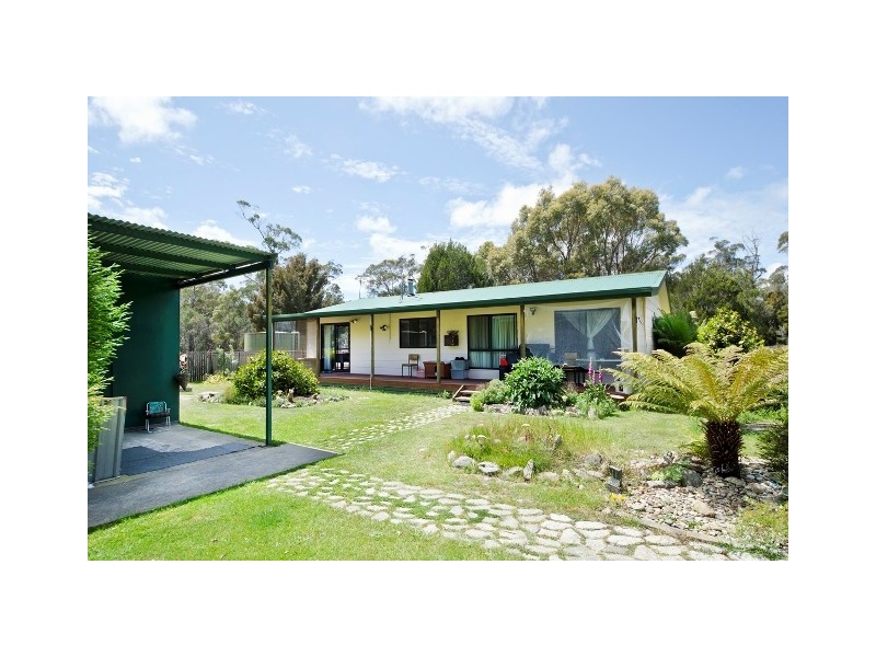 380 Badger Head Road, Badger Head TAS 7270