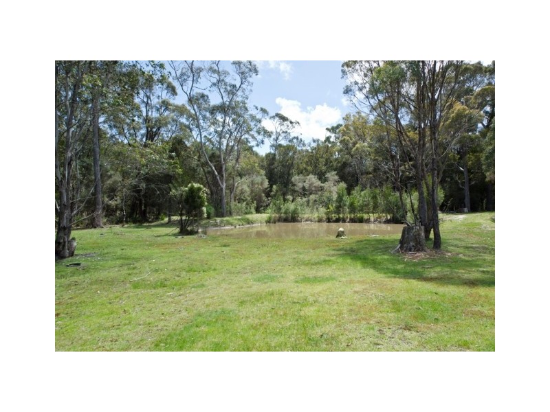 380 Badger Head Road, Badger Head TAS 7270
