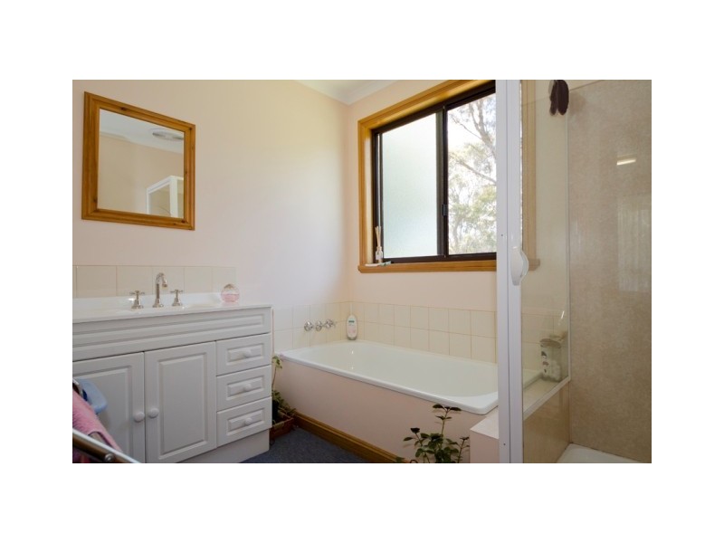 380 Badger Head Road, Badger Head TAS 7270
