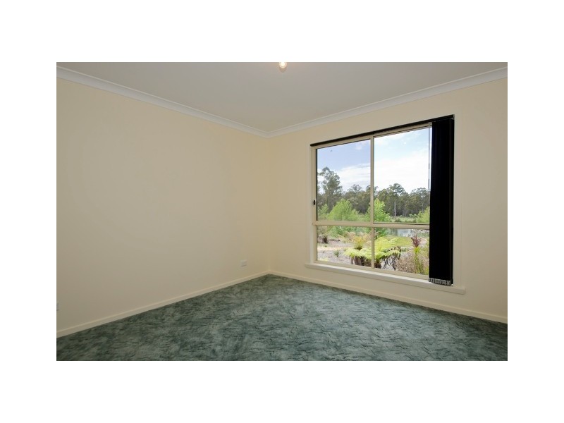 573 Greens Beach Road, York Town TAS 7270