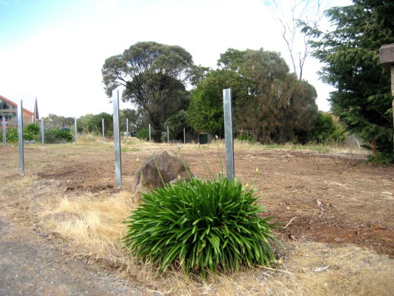 115 Brougham Street, West Launceston TAS 7250