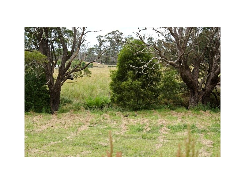 75 Loop Road, Glengarry TAS 7275