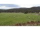 1688 Upper Esk Road, Upper Esk TAS 7214