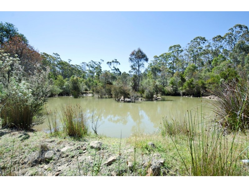 65 Austins Road, Turners Marsh TAS 7267